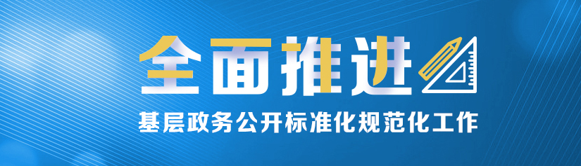 全面推進基層政務公開標準化規范化工作